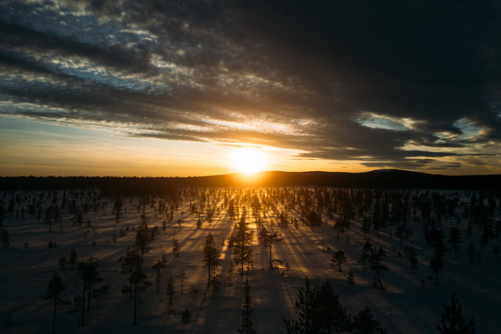 DJI_0624