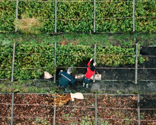 Still 2026-01-31 165540_4.11.1